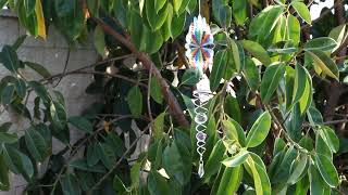 6.5" Spectrum Rainbow Wind Spinner & Tail Set 2