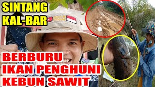 EXPEDISI LIBURAN KE HULU KAL-BAR_MANCING IKAN DI KEBUN SAWIT_DESA BONET LAMA (KAB.SINTANG)