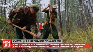 Время Арктики. Обзор за неделю от 14.08.2020 с Анной Козенковой