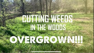 CUTTING WEEDS IN THE WOODS(SUPER SATISFYING)