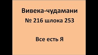 ВивекаЧудамани курс Свамини Видьянанды Сарасвати 216 шлока 253 Все есть Я