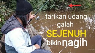 Tarikan udang galah SEJENUH yang bikin nangih