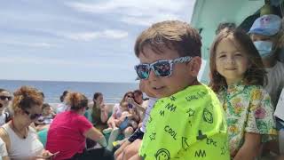 Visita a SeaLife,paseo en Barco y Playa (Ed. Infantil)