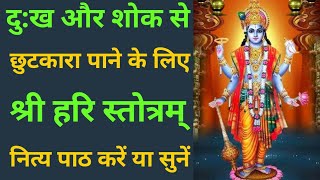 Shri Hari Stotram | श्री हरि स्तोत्रम् | दु:ख शोक से निवृत्ति हेतु |Shree Hari Stotram #vishnumantra