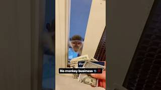 It Was Indeed Monkey Business 😪