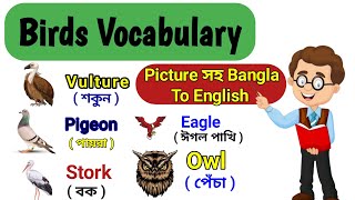 Birds Vocabulary Bangla To English | Birds Name | Types of Birds Name. 9 Minutes English.