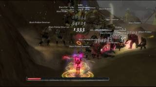 Silkroad Online BIATSH killed Captin Ivy #2 & Uruchi #4 +#5 on Mena