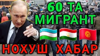 🇷🇺РОССИЯДА ЯНА БОШЛАНДИ 60 ТА МИГРАНТ НОХУШ ХАБАР ТАРКАТИНГ