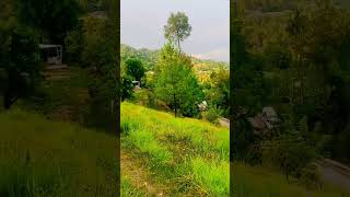 Natural Beauty Of Murree Village