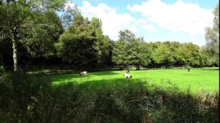 Groningen, Stadspark