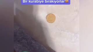 Hırsızların ilginç taktiği çok şaşırtıcı