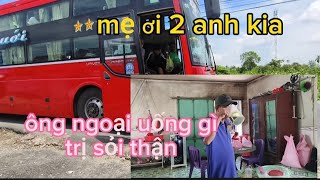 🌈207🌾Bất ngờ 2 anh về ku bảo vui mừng ,ổng ngoại uống gì để trị sỏi thận