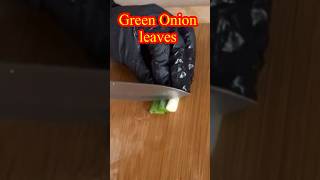 How to cut  green onion leaves