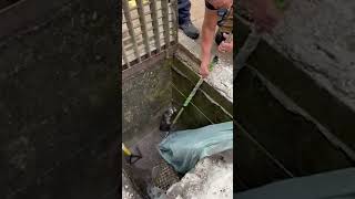 Quick-thinking firefighters free trapped raccoon from drain I Humankind #shorts