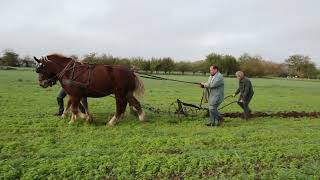 La  journée labour 🐎