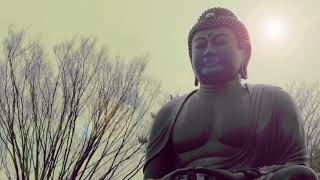 Buddhist Story to Relax Your Mind _ मन के गंदे विचार खत्म हो जाएंगे यह सुन लो  _ Bodhi Inspired