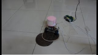 SELF BALANCING ROBOT - CARRY THINGS & UN-LEVELED ROAD TEST