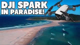 Dji Spark Fly More Combo Test Flight - Nelson Bay Australia