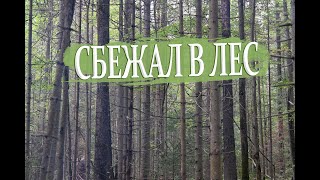 Сбежал в лес, пермский край, гамак, бушкрафт, костёр, чай с печеньками, август грибы речка