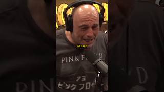 Five Different Teams Looking for Trump - Joe Rogan