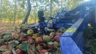 Kombajn do jabłek / Spartan w LIPSKU  /Zbiór jabłek/ zbieracz jabłek / DomWid Apple harvester