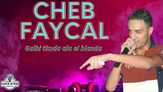 Cheb Faycal - Galbi thoda ala el blanda