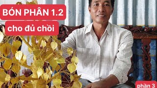 BÓN PHÂN, đợt 1...2...nuôi chòi. giao lưu ,bán giống 0939220142