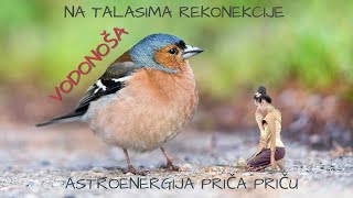 VODONOŠA / na talasima Rekonekcije Astroenergija priča