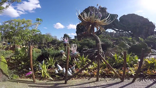 Pandora The World Of Avatar at Disney's Animal Kingdom GoPro Walking POV Full Tour 1080p 60fps