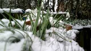 Nokia 808 Pureview & Rich Recording - Snowy day in Belgium