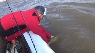 Pesca de Doraditos en el rio Paraná