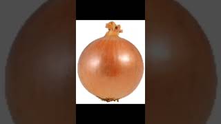 onion.mp4