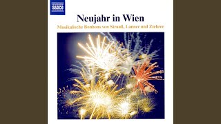 An der schonen, blauen Donau (The Beautiful Blue Danube) , Op. 314