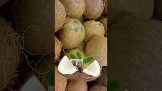 Coconut #amazing #funnyvideo #funplay #trending #fyp #shorts