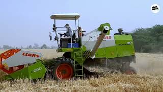 wheat harvesting by German combine harvester claas