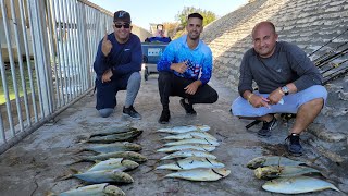 Pesca en Bahía Honda #14