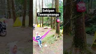 Camping Di Sekipan || Bersantai bermain di bawah pohon pinus #shorts