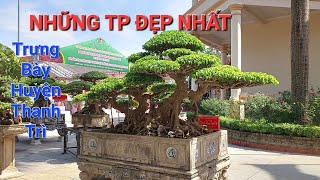 CHIÊM NGƯỠNG những TP XUẤT SẮC NHẤT tại trưng bày TL TÂN TRIỀU - THANH TRÌ .