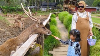 Disya Bermalam di Kebun Teh Pangalengan Jawa Barat