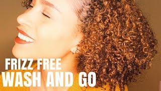 FRIZZ FREE Wash And Go On Natural Hair  | Shingling Method for Lazy People | NATURAL HAIR