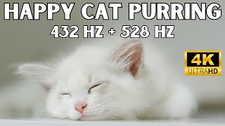 Relieve Stress & Increase Serotonin | Sleep, Concentration, ASMR | Cat Purring | 432 Hz + 528 Hz