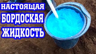 Настоящая бордоская жидкость / Рецепт от Дедушки / real Bordeaux liquid do it yourself