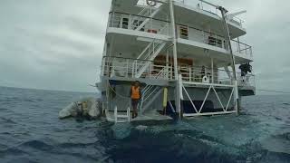 CORAL EXPEDITIONS II - LA CROCIERA A NORD DI CAIRNS