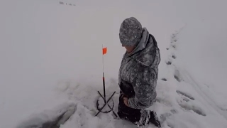 Catching Perch On Tip Ups 4th Lake NY