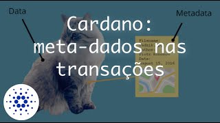 Cardano: meta-dados nas transações