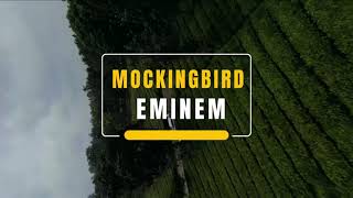 MOCKINGBIRD - EMINEM