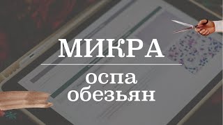 Оспа обезьян | Микробиология