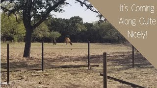 Corral Fencing Part 2