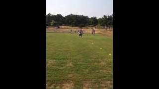 Ram and log football drills