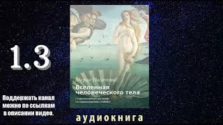 Марко Погачник. Вселенная человеческого тела. Часть 1.3.Аудиокнига